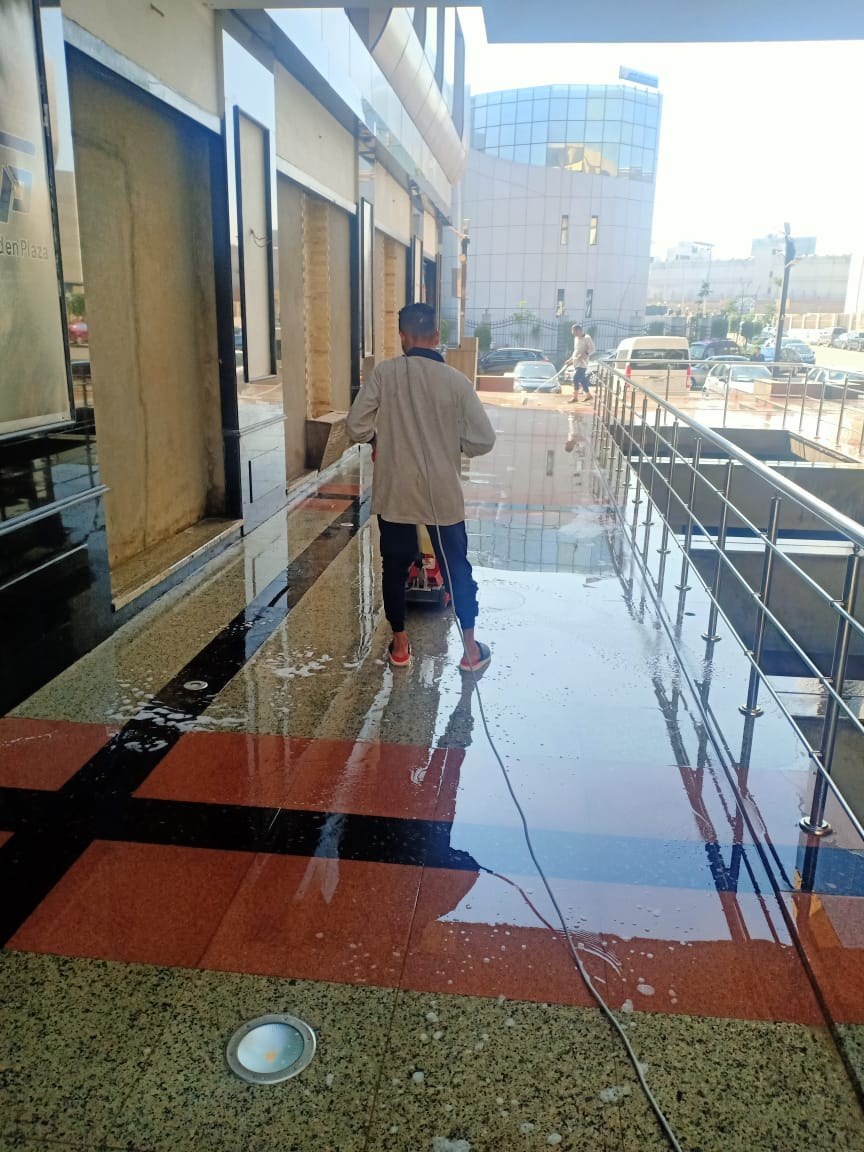 تنظيم الموقع