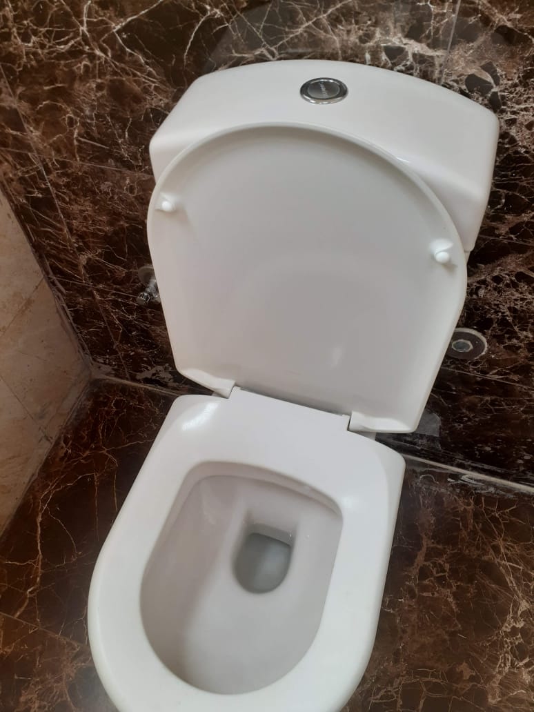 الصورة النهائية
