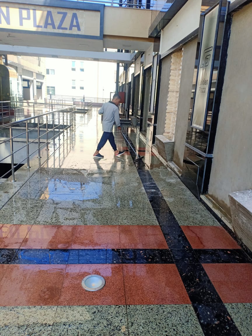 تنظيم الموقع