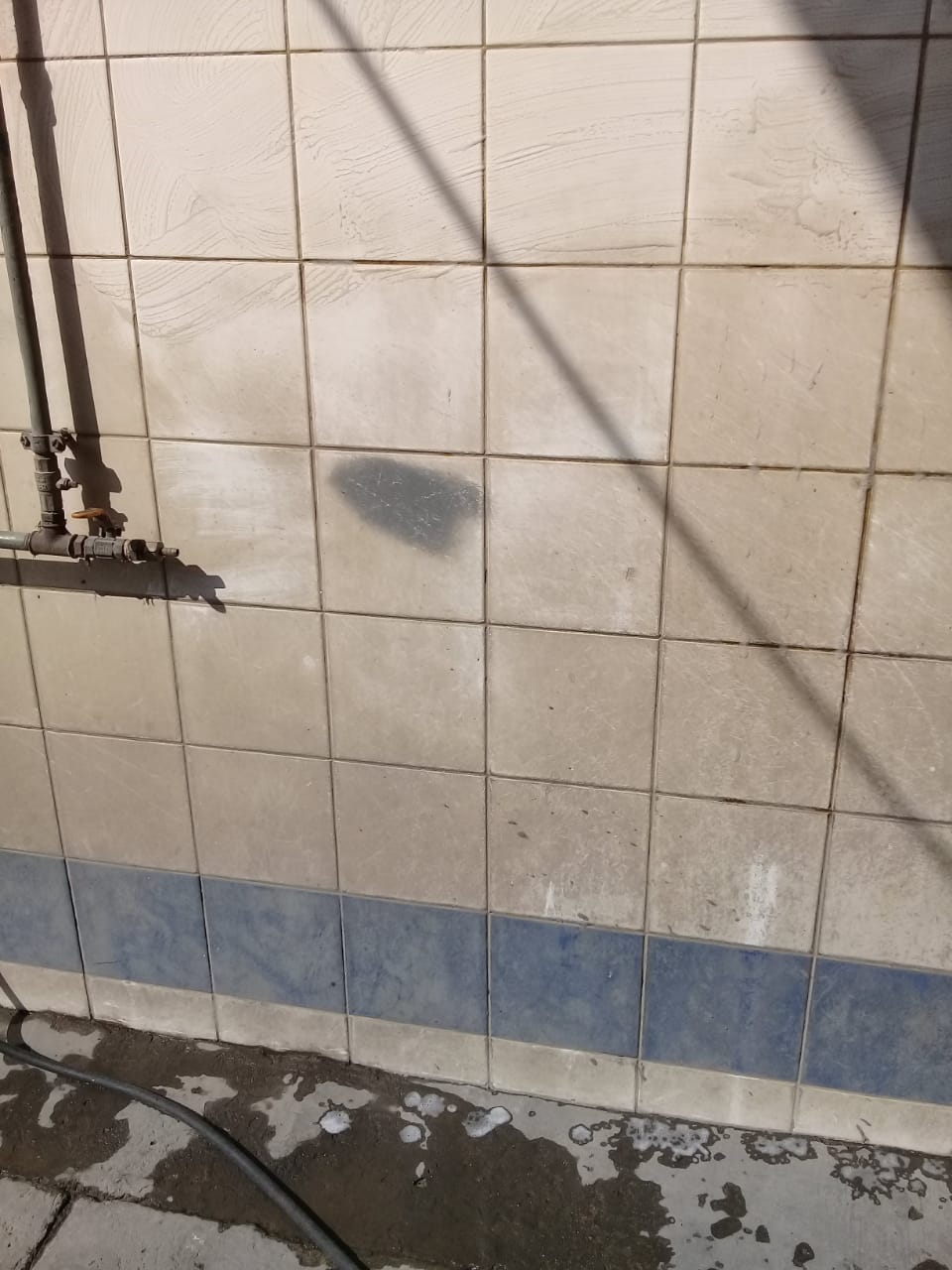 تنظيم الموقع