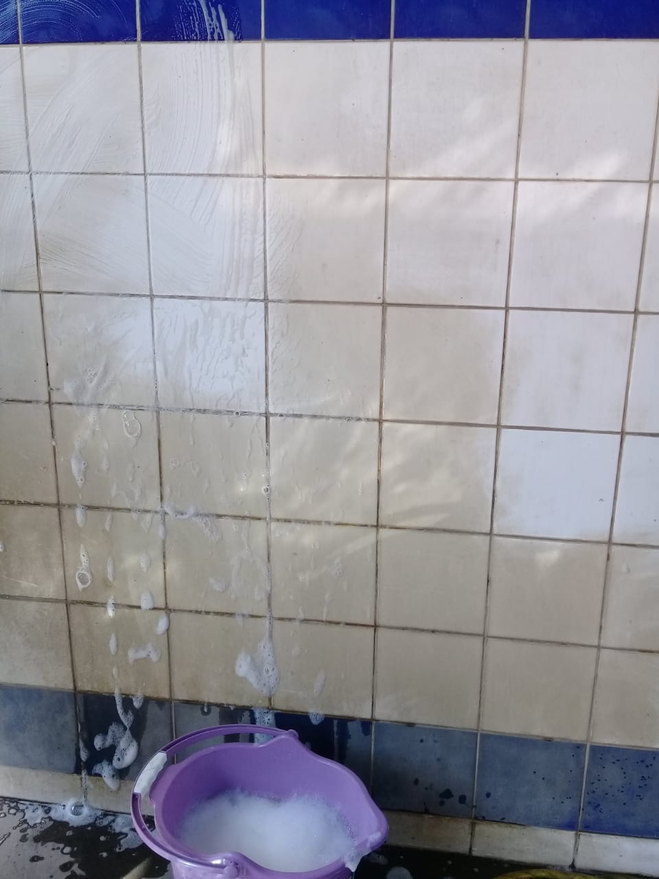 تفاصيل الموقع