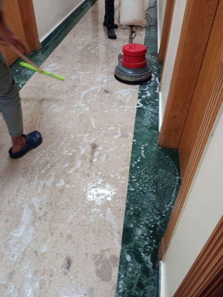 تنظيم الموقع