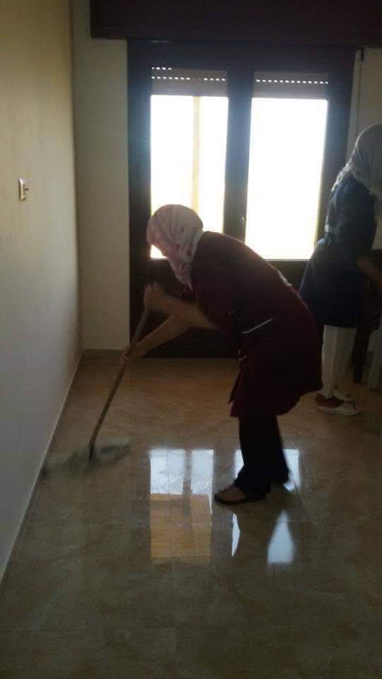 تنظيم الموقع